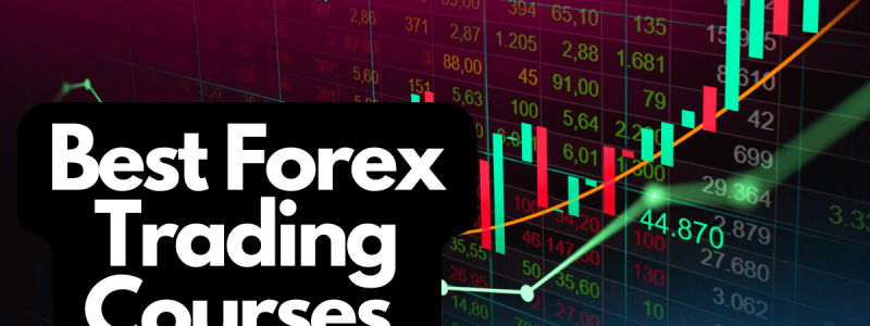 free online forex courses